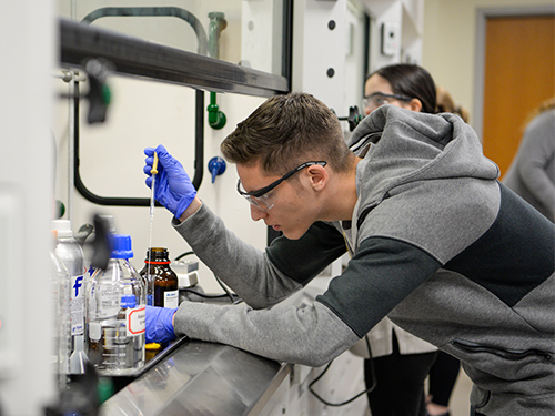 Research process in an environmental testing laboratory